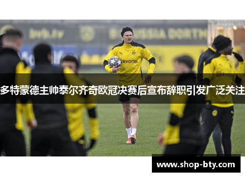多特蒙德主帅泰尔齐奇欧冠决赛后宣布辞职引发广泛关注 多特蒙德主帅泰尔齐奇欧冠决赛后宣布辞职引发广泛关注