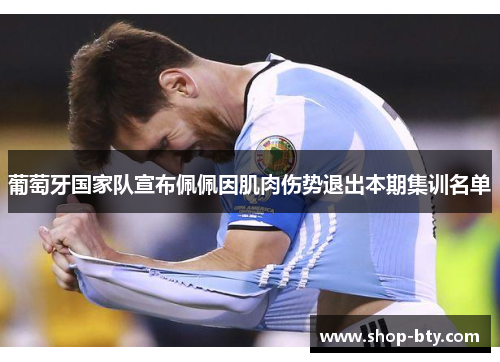 葡萄牙国家队宣布佩佩因肌肉伤势退出本期集训名单